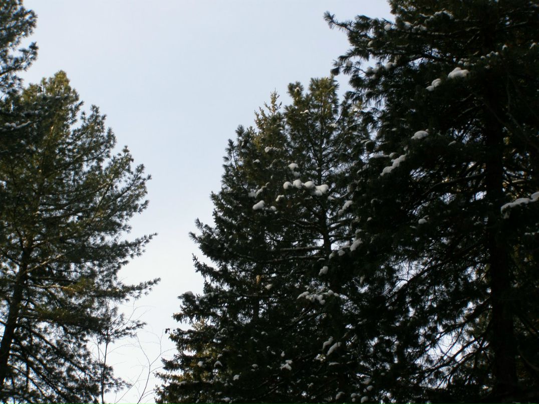 Олександр Грегораш | Калуш