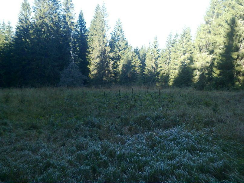 Юрій Фабрицій | Ужгород