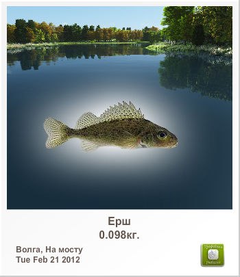 Den Super | Черкассы