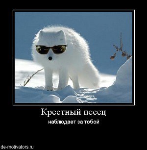 Димка Четин | Пермь