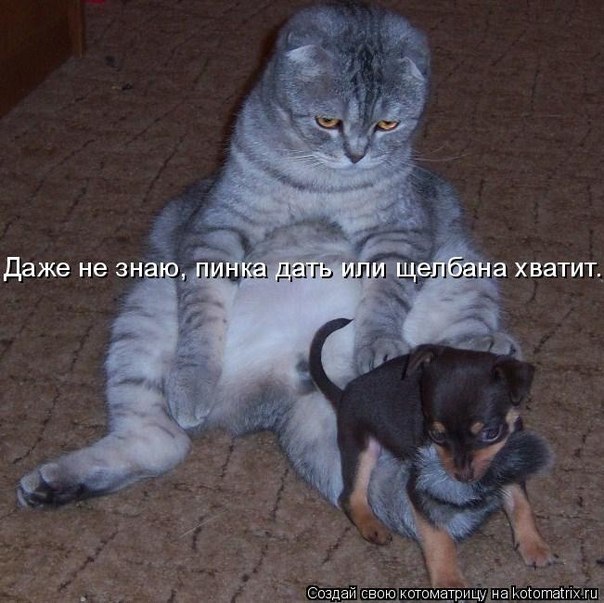 Юлечка Горшкова | Нижний Новгород