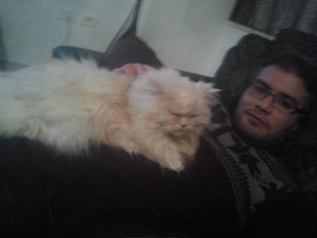 Вассим Шемли | Sousse