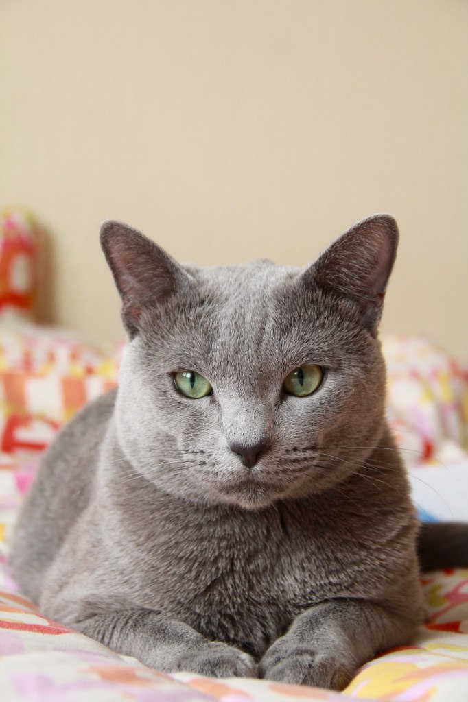 Anastasia Панченко life_story | Москва