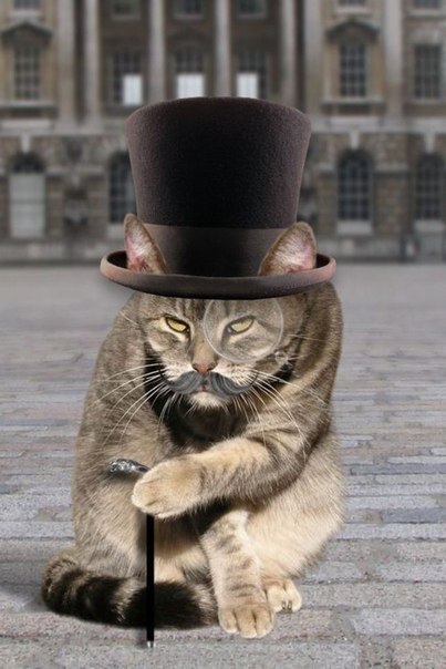 Мария Рааш | Hamburg