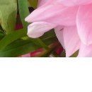 Анастасия Лытнева | Москва