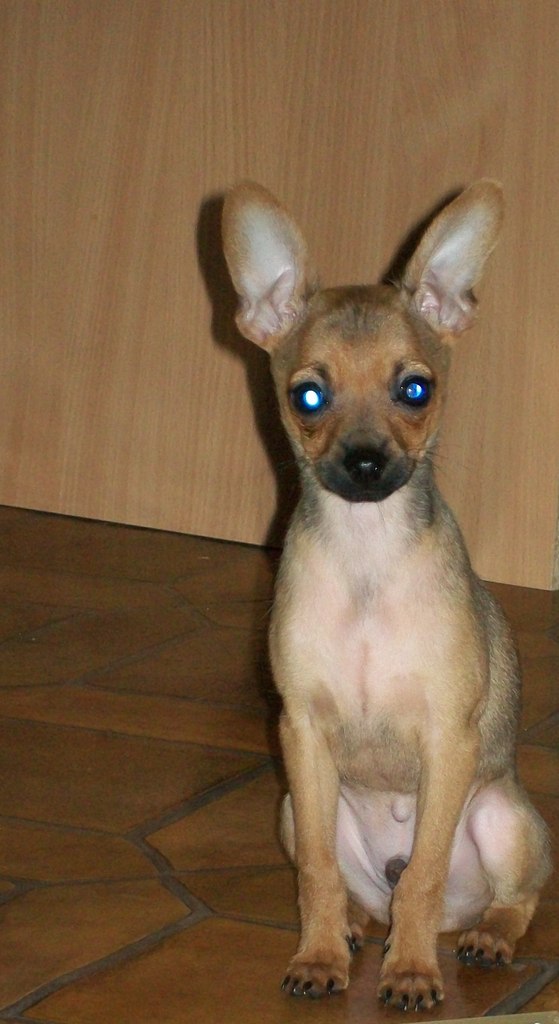 Светланка Кузнецова | Казань