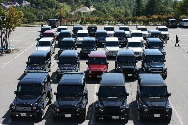 Ева Адамова | Chicago