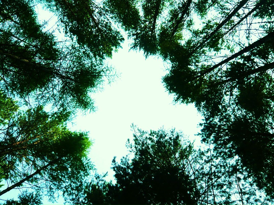 Алишка Гришина | Иркутск