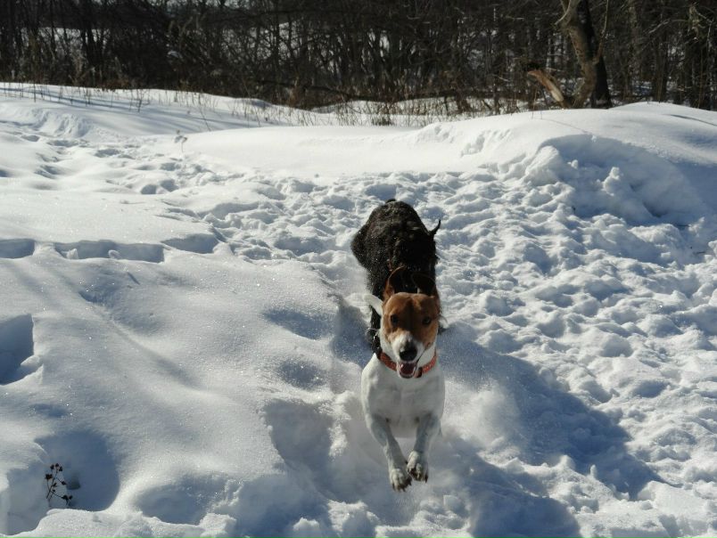 №52, Александр Дегтярев, Петрозаводск №52, Александр Дегтярев, Петрозаводск