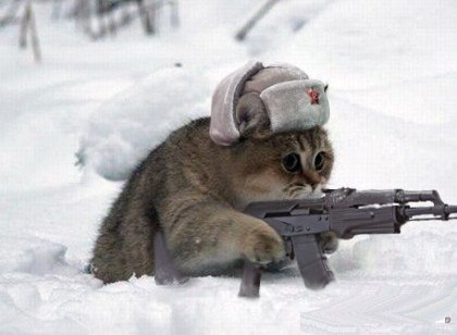 Андрей Андреев | 