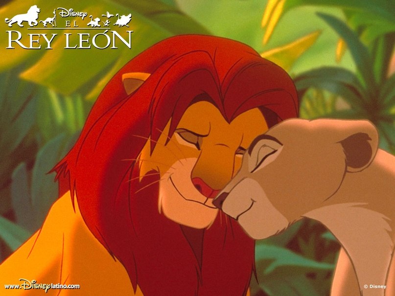 Алёна Левина | Киев