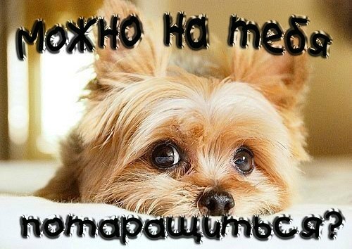 Мария Лагута 