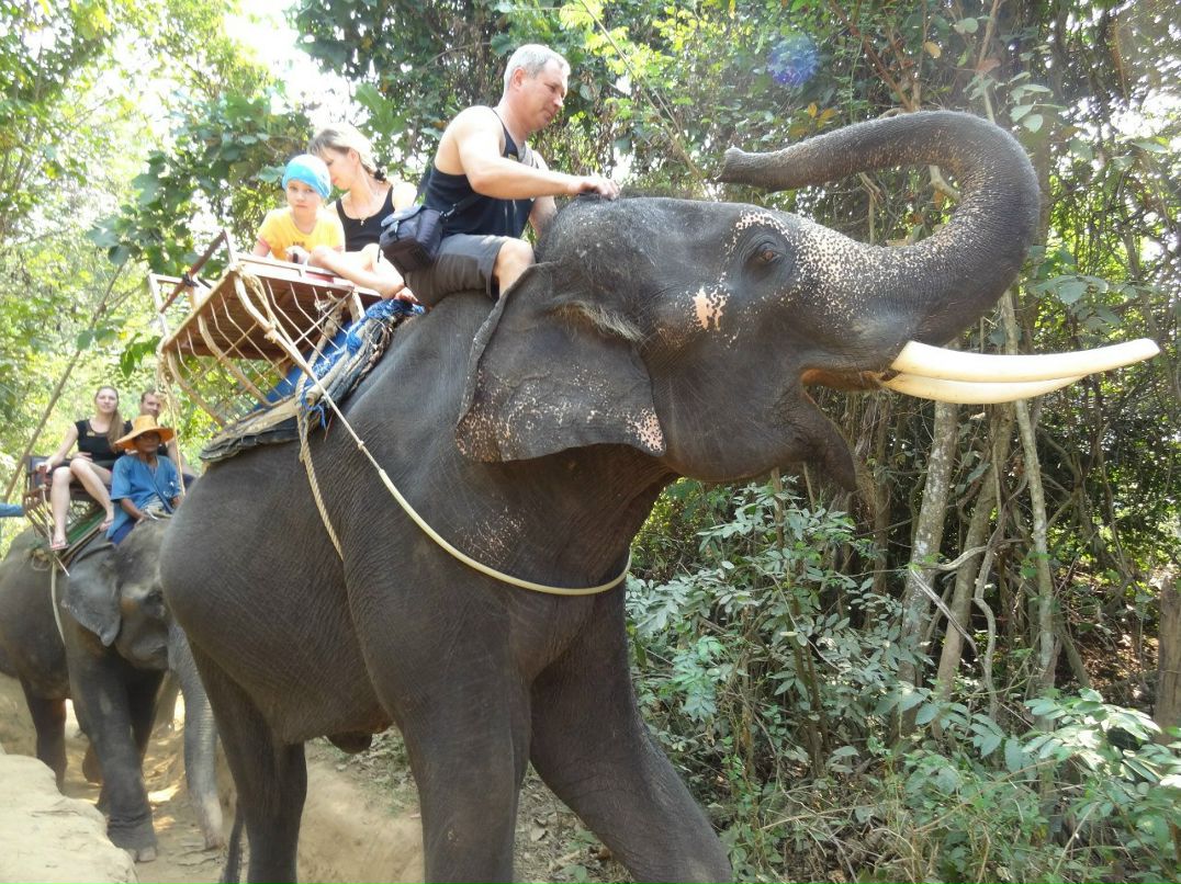 Женечка Агеева-Хлыстунова | 