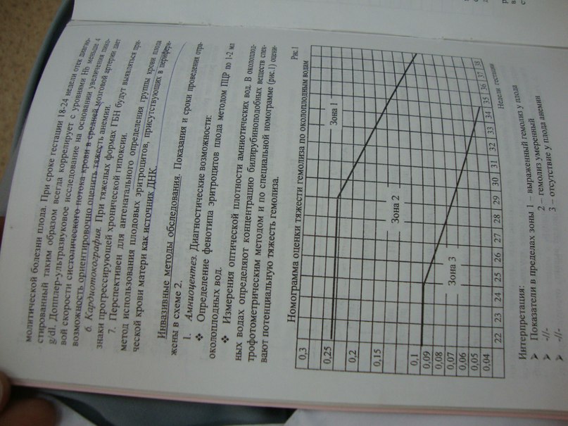 Инга Колесникова | Новосибирск