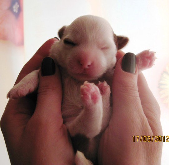 Татьяна Бульдогомама | Ижевск