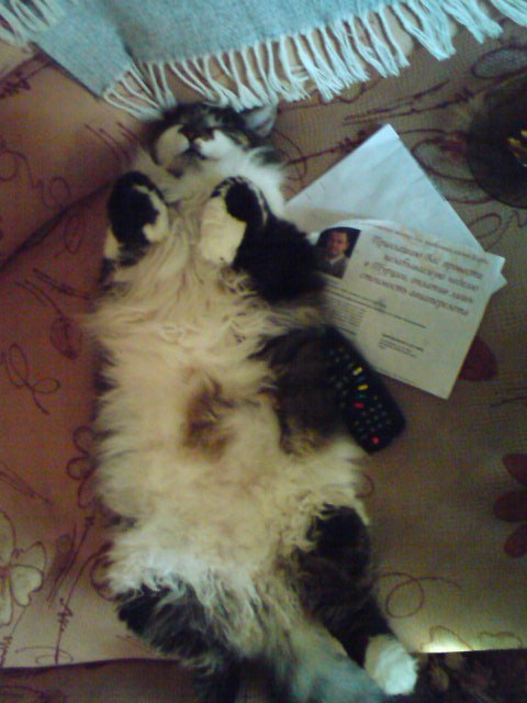 Андрей Закревский | Бровары