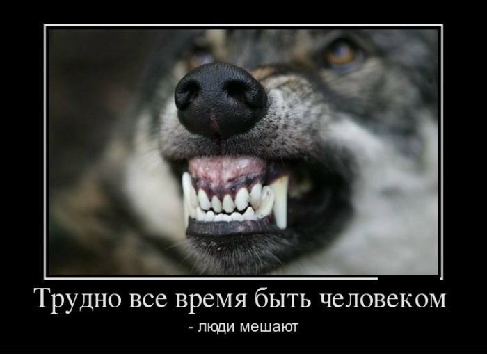 №2, Александр Малеев, 42 года, Новосибирск №2, Александр Малеев, 42 года, Новосибирск