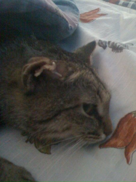 №144, Иван Юрчев, Москва, Россия №144, Иван Юрчев, Москва, Россия