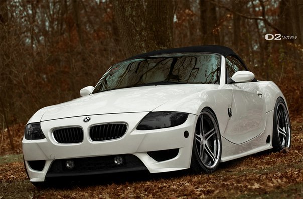 Ярик Минаев | Краснодар