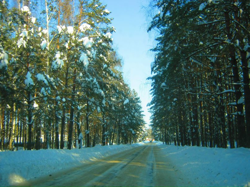 Алексей Кононов | Минск