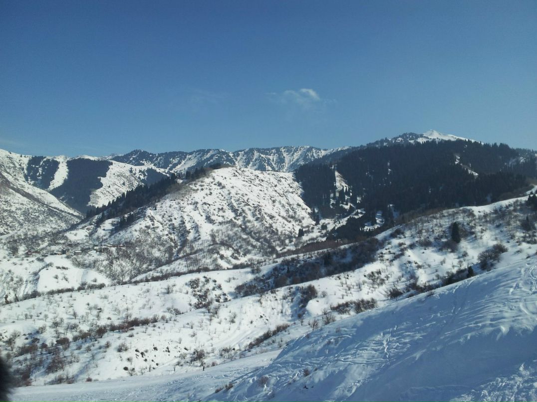 Маулен Турлиев | Алматы