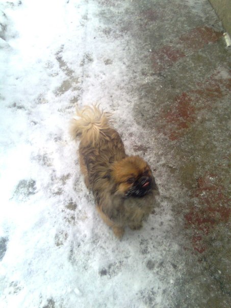 №60, Валентин Якобан, 28 лет, Черновцы №60, Валентин Якобан, 28 лет, Черновцы