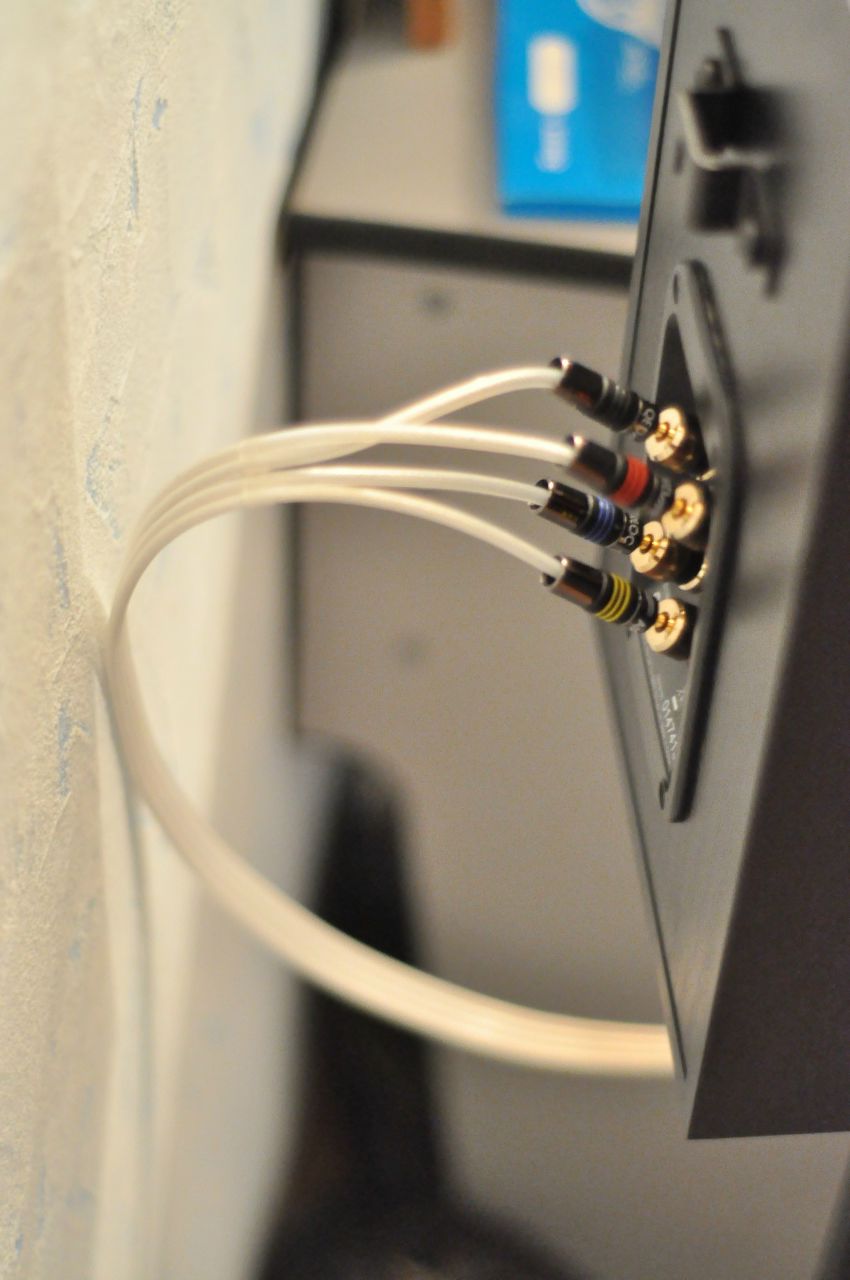 Костя Корепин Meloman | Петропавловск-Камчатский