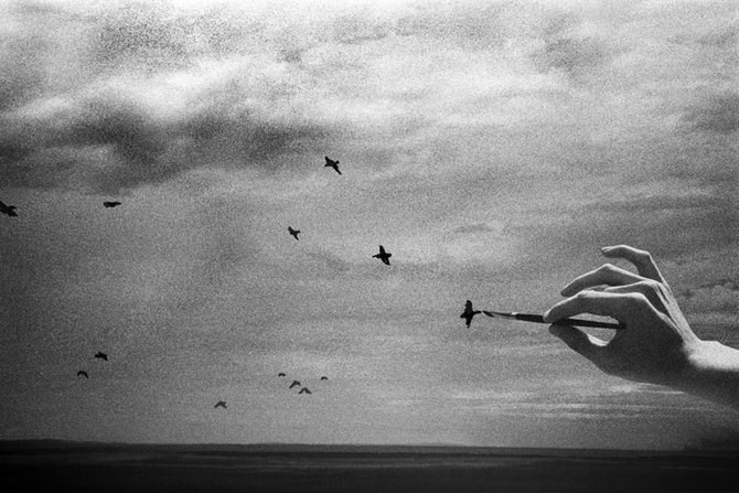 Настасья Мачекина | 