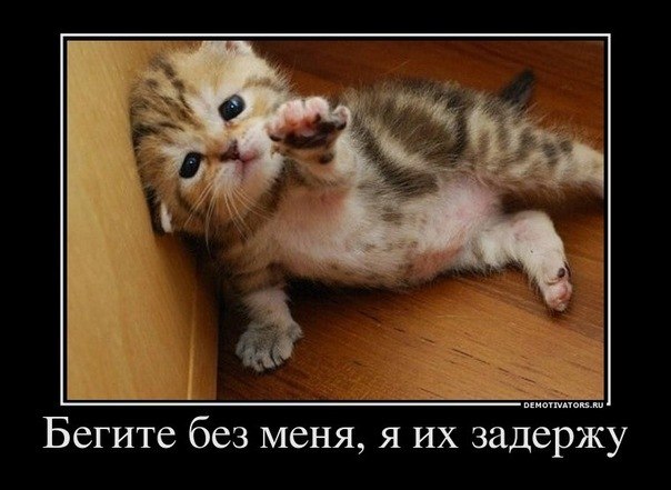 Катюша Малинина | 