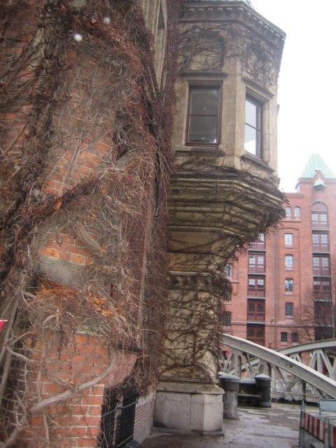 Елена Соломонова | Санкт-Петербург