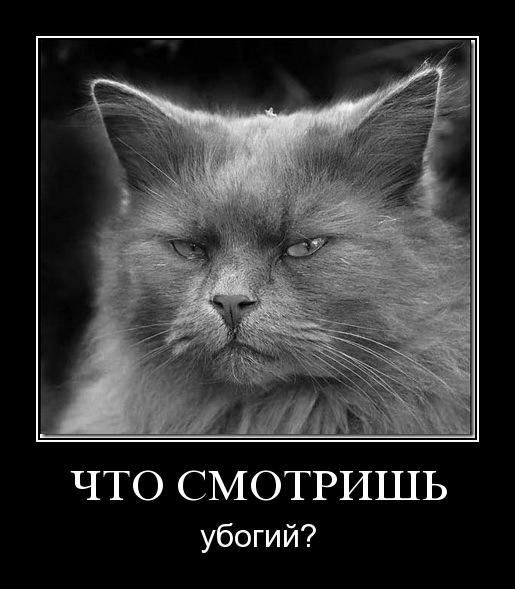 Дмитрий Поздеев | Можга