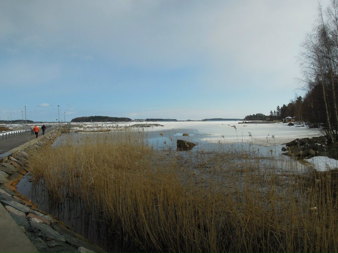 Серёжа Борода ... i can't go back in time ... | 