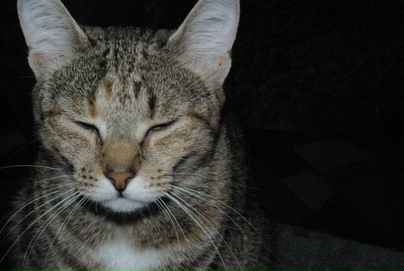 Katia Nikitina | Калининград