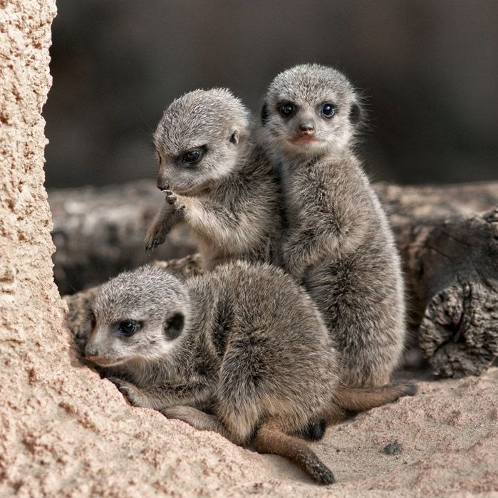 Мария Аксёнова ૐ  mario sunpako ૐ | Москва