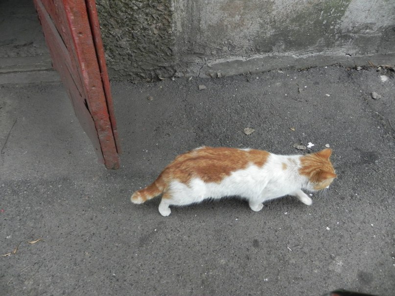 Татьяна Дёмина | Кривой Рог