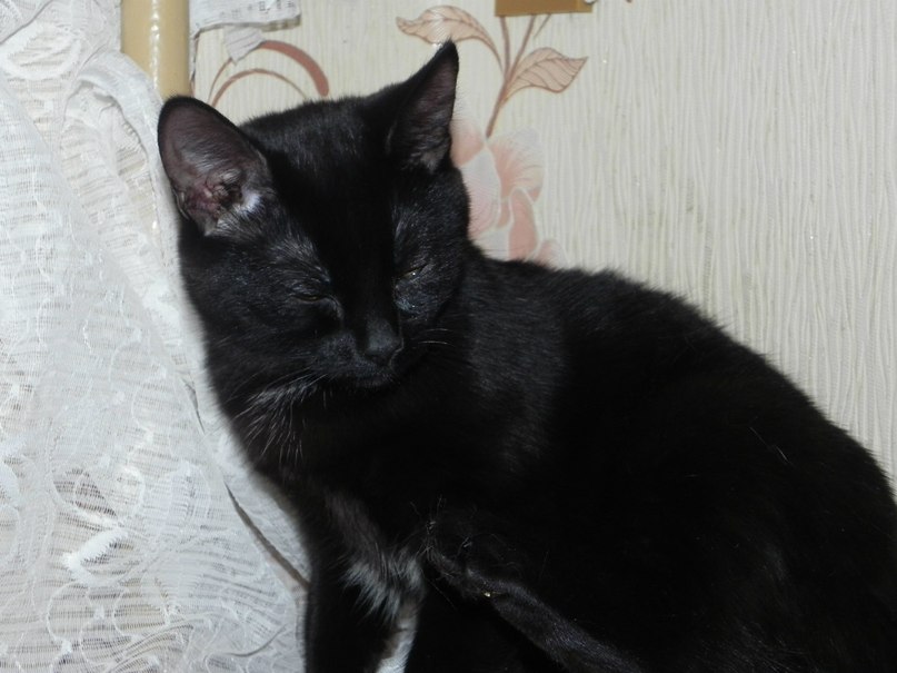 Татьяна Дёмина | Кривой Рог