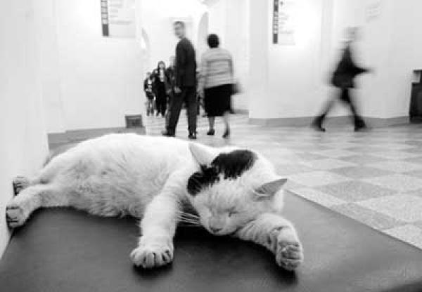 Сергей Логинов | Санкт-Петербург