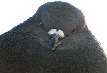 Юрий Дико | Киев