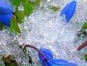 Наталья Лях Nataly Liakh | Санкт-Петербург