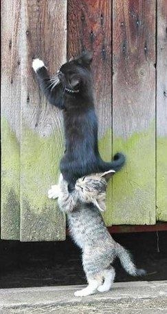 Наталья Прежина NIK@ | Ульяновск