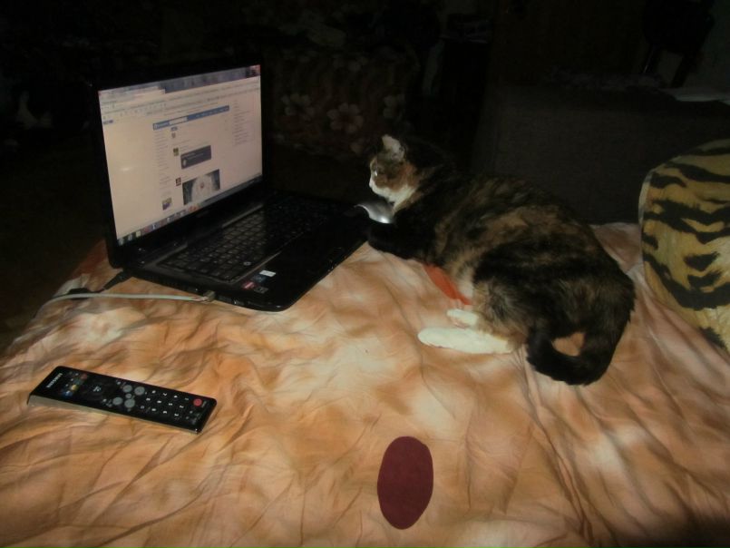 №37, Катерина Моросина, 43 года, Москва №37, Катерина Моросина, 43 года, Москва