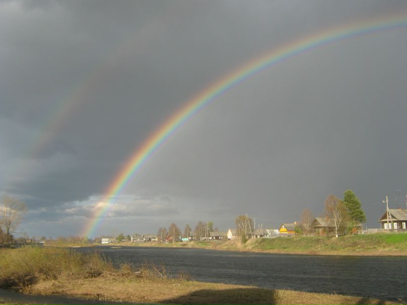 Елена Коломейцева | Санкт-Петербург