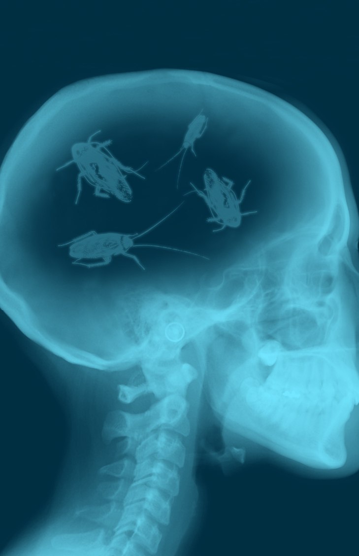 Олег Эльф | Бирск