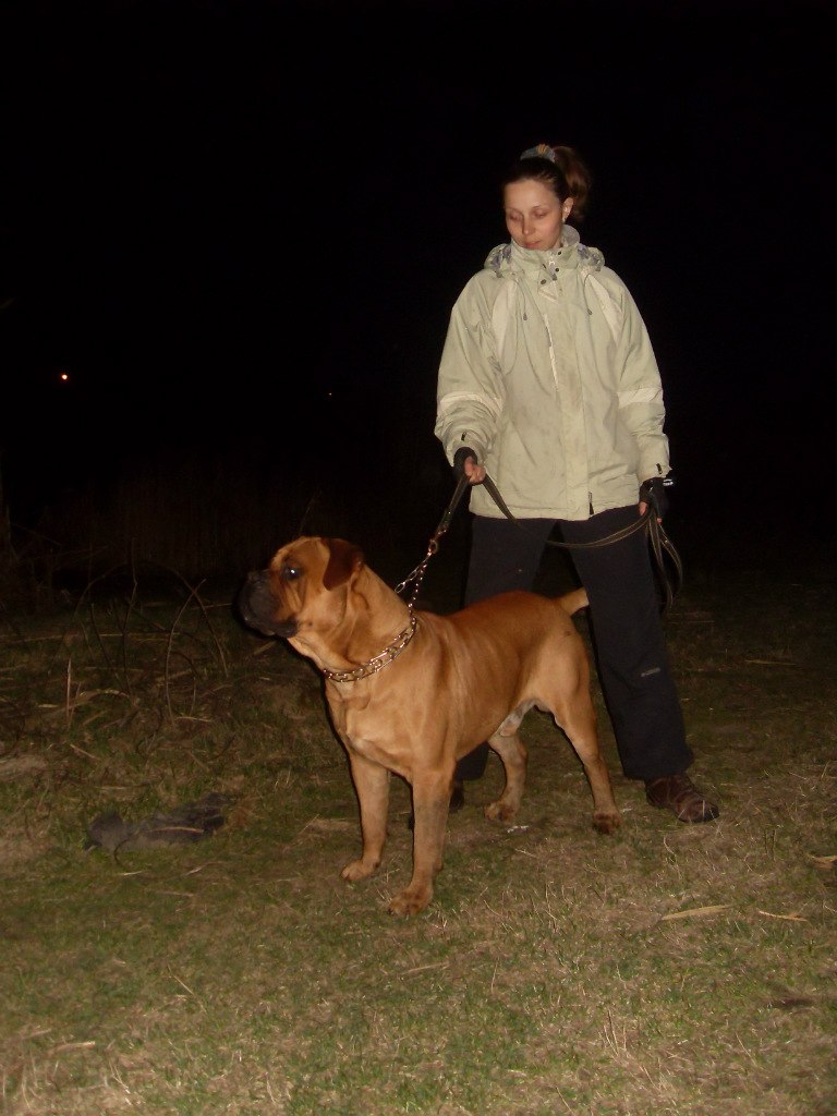 Снежана Усенко | Каменское / Днепродзержинск