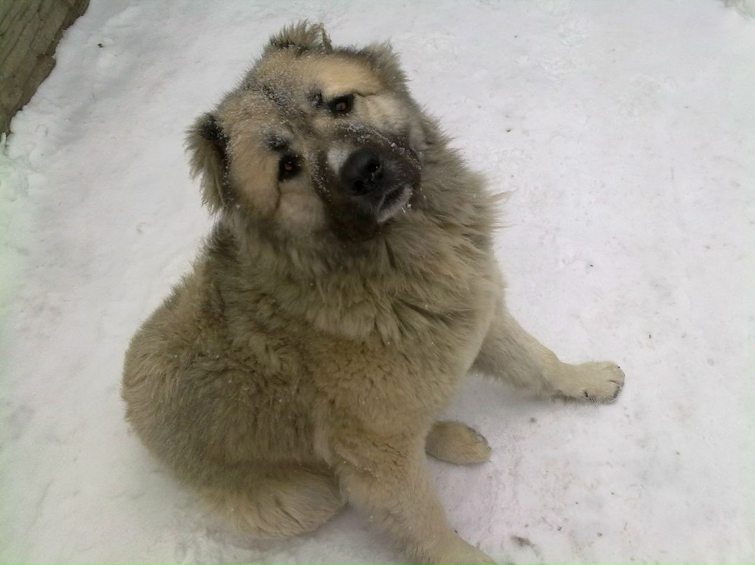 Роман Васильев | Керчь