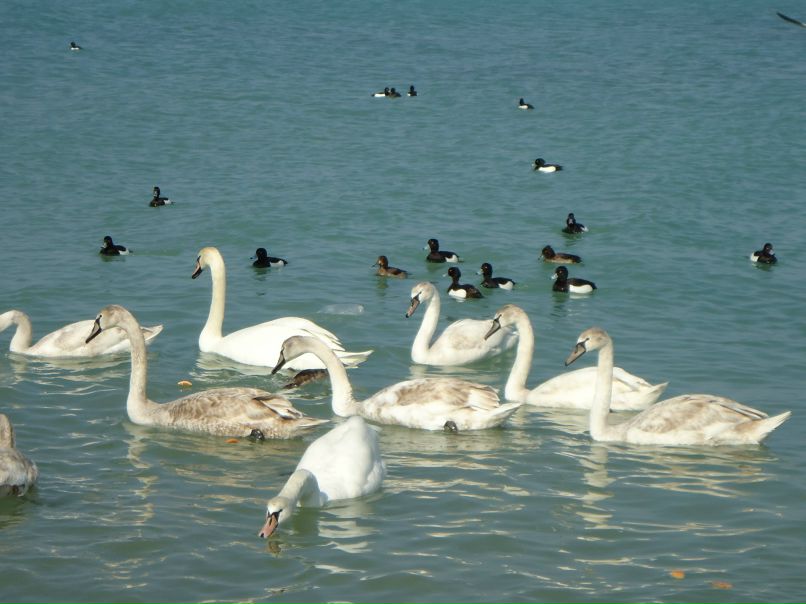 Юля Юзликеева | Актау
