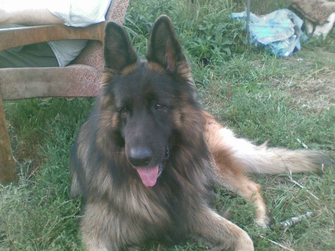 Катя Быстрикова | Москва