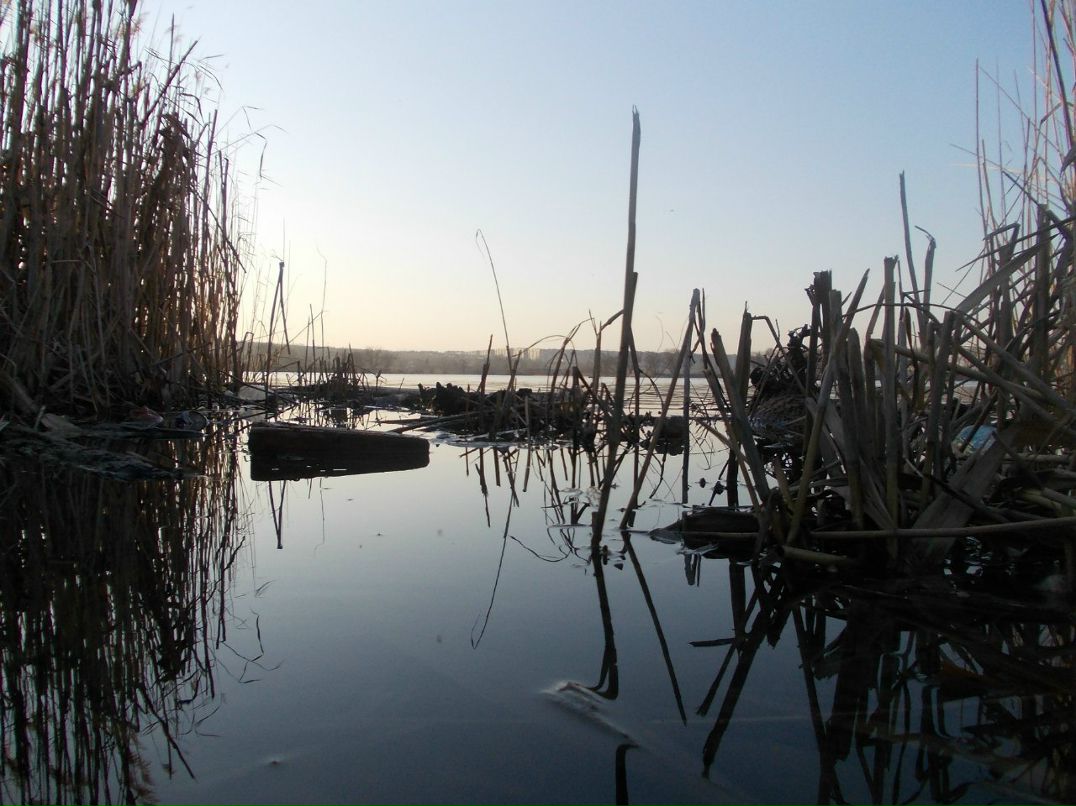 Дима Нимчук | Луганск