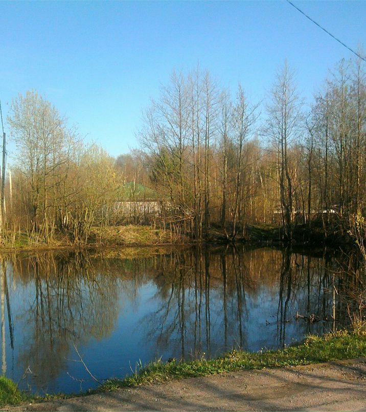 Anastasia Vinogradova | Санкт-Петербург