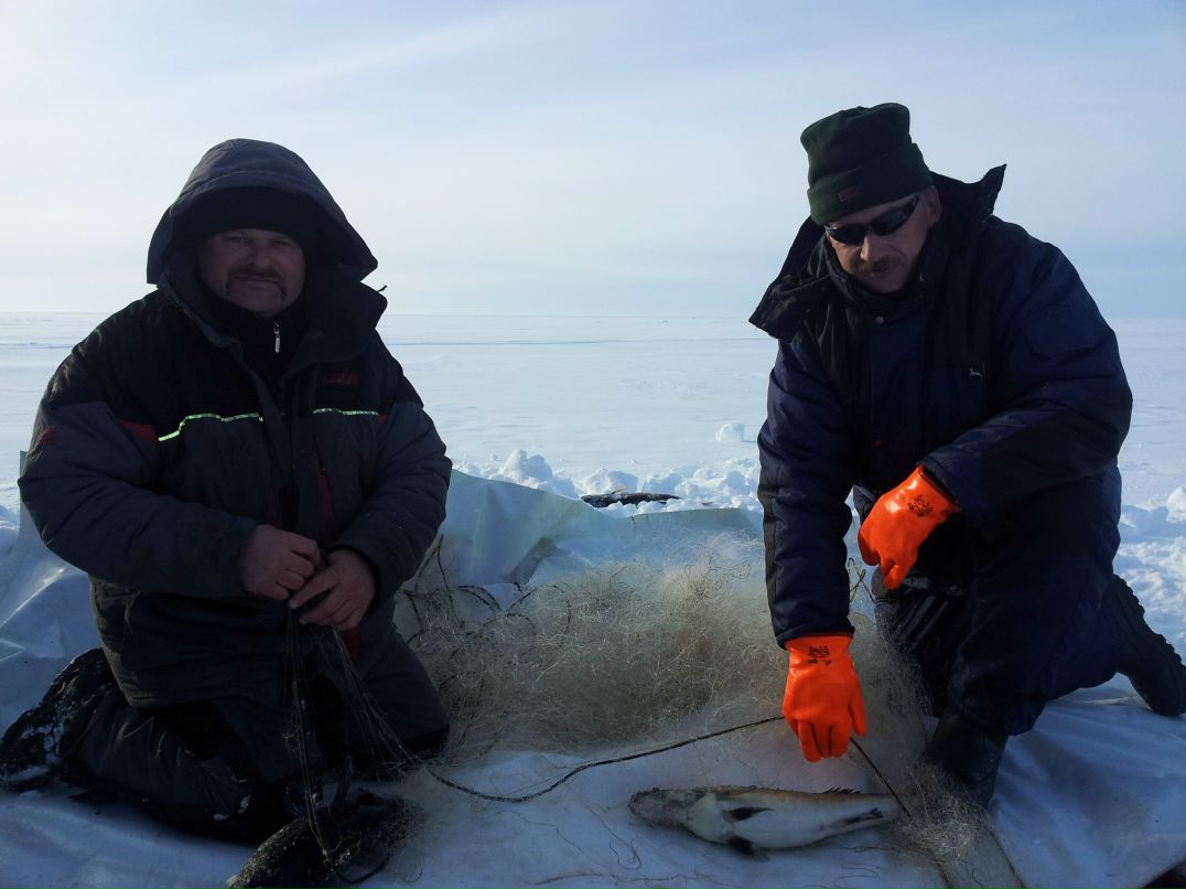 Игорь Груенко | Петрозаводск